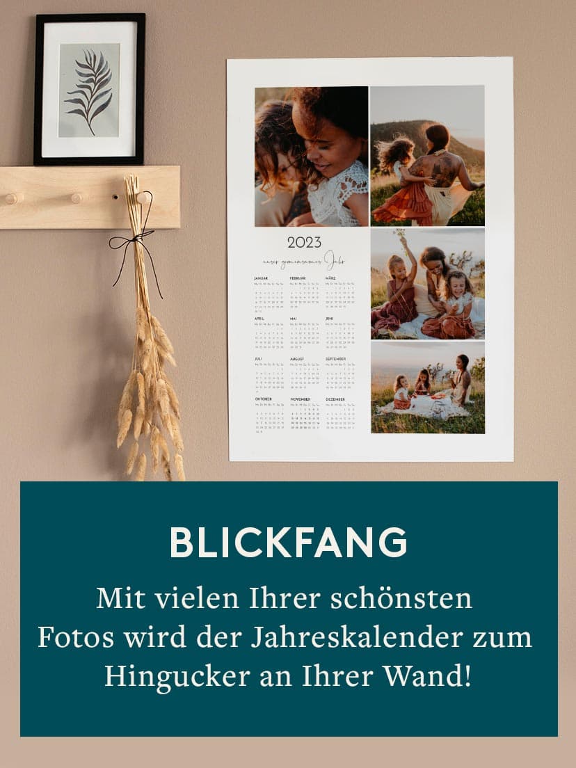 Zahlreiche Fotos
