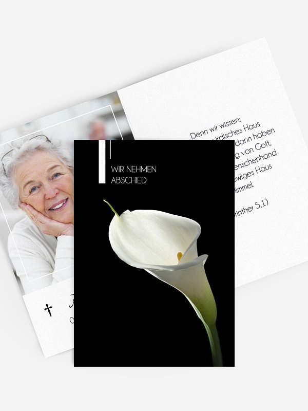 Calla