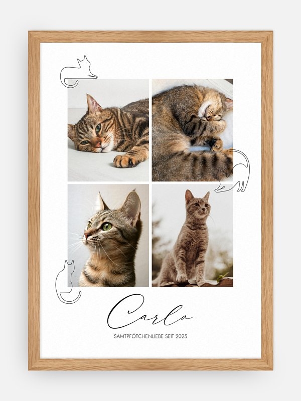 Katzenliebe