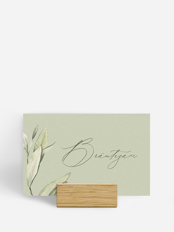 Elegant Olive