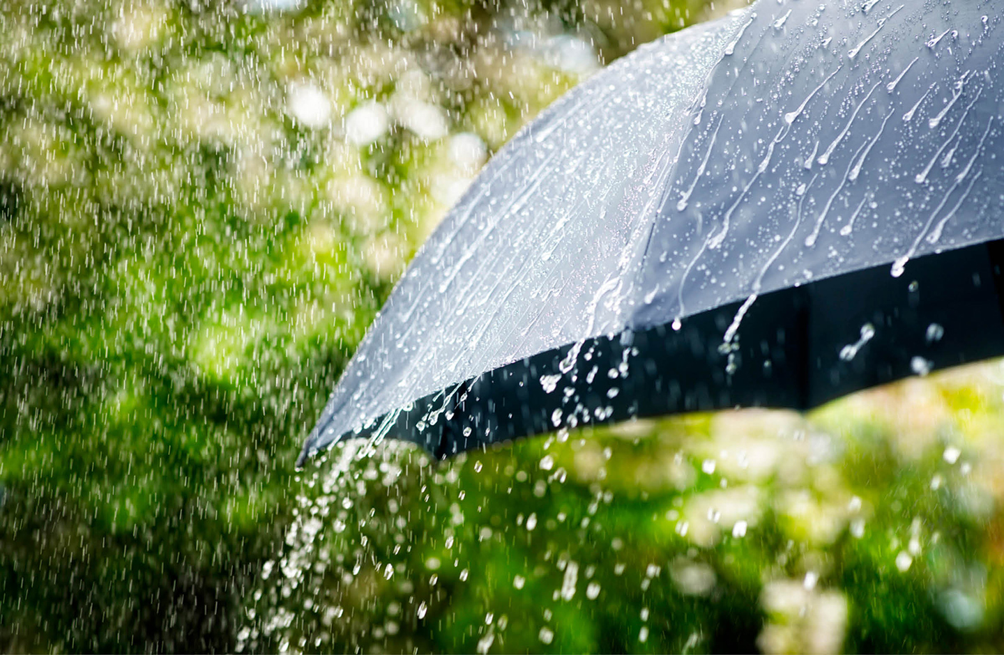 Detailaufnahme eines schwarzen Regenschirms, auf den der Regen prasselt. Im Hintergrund sind Umrisse eines Gartens zu sehen.