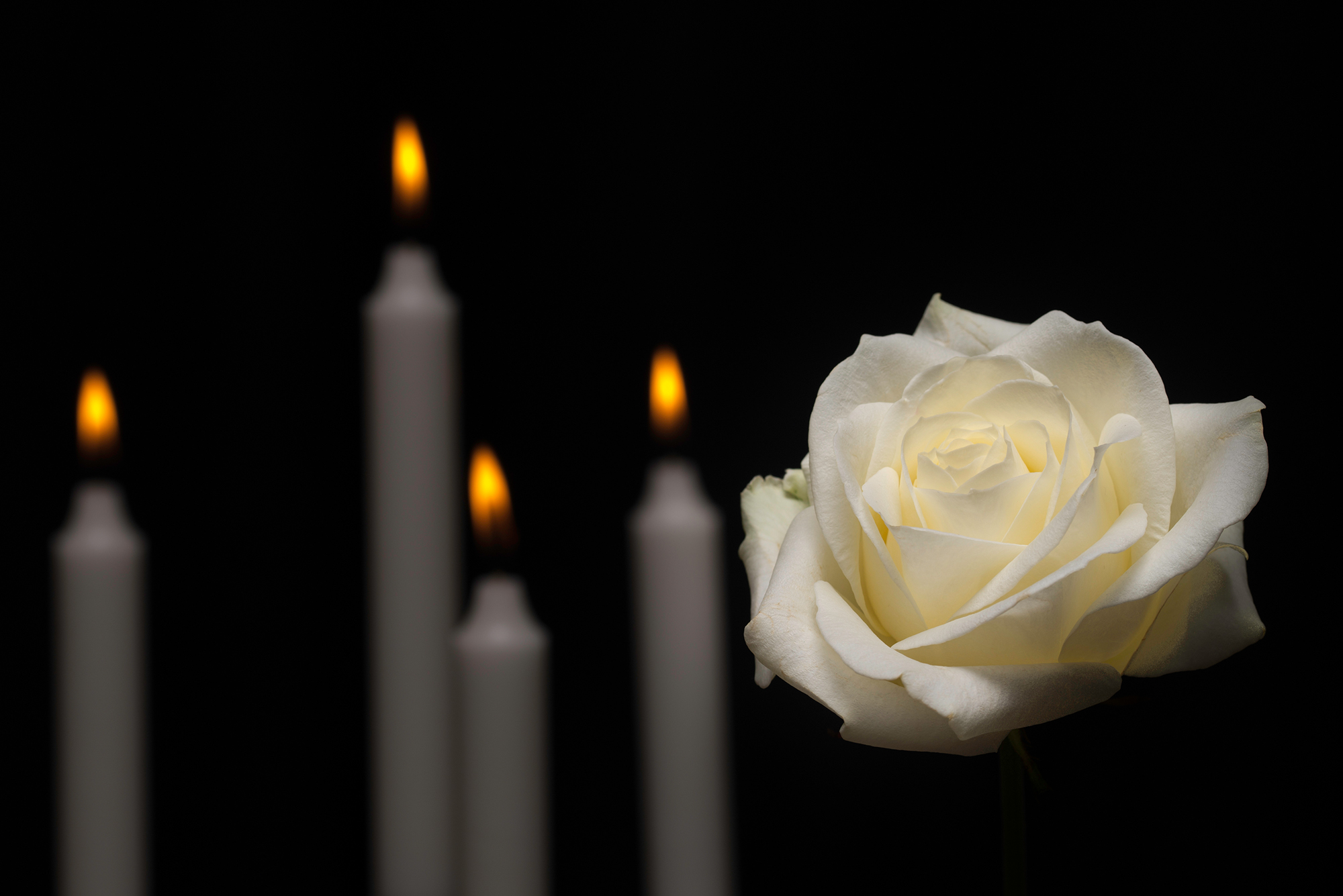 Kerzen und eine weiße Rose