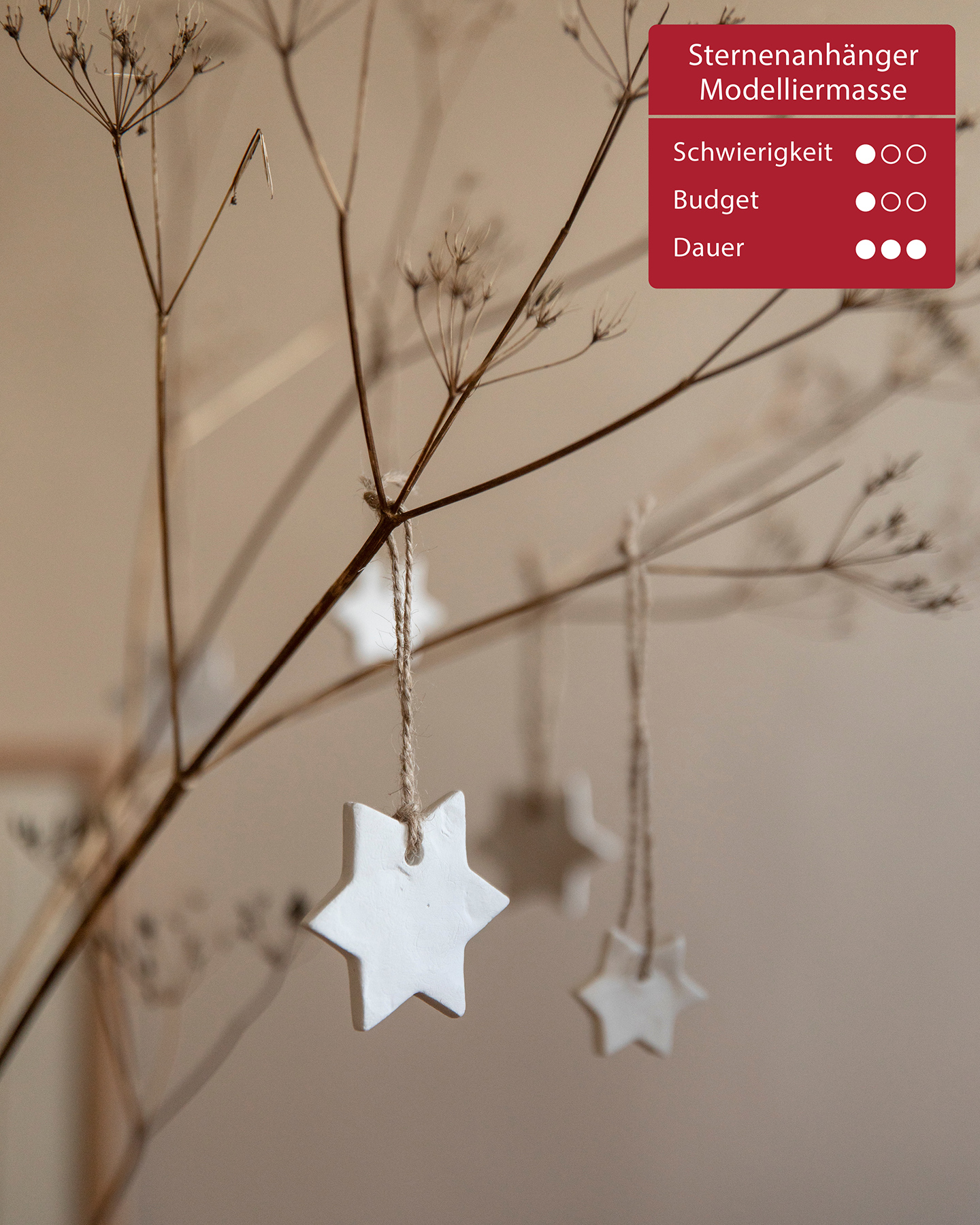 Aus Modelliermasse gebastelte Sterne Hängen als Weihnachtsdeko an Zweigen.
