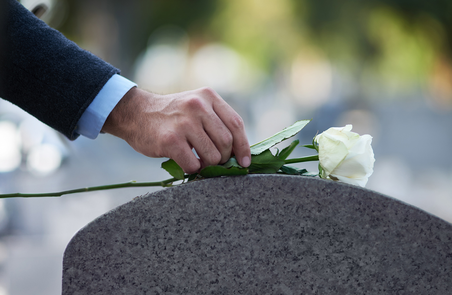 Mann legt weiße Rose auf Grab beim Trauergottesdienst.