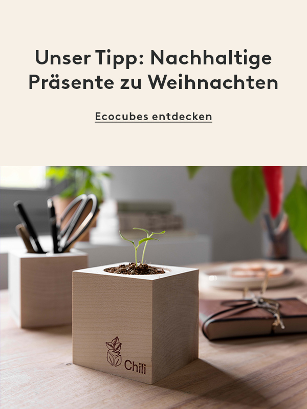 Jetzt entdecken Chili-Pflanze im Holzwürfel